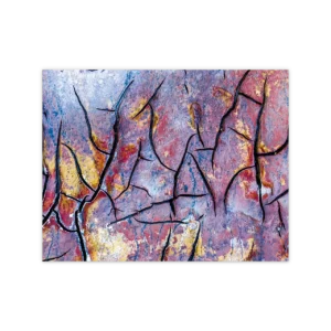 La Memoria del Barro — Miguel Gil