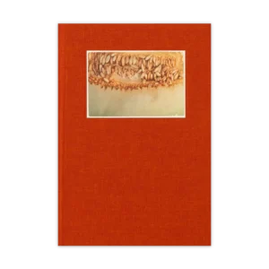 Radix — David Inclán