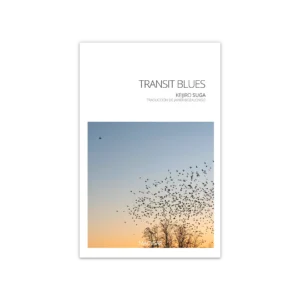 Transit Blues — Keijiro Suga