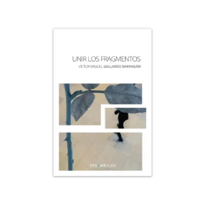 Unir los fragmentos — Víctor Miguel Gallardo Barragán